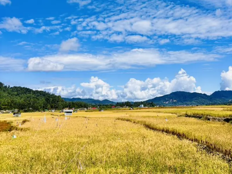 Ziro Hill Station Visit Ziro hill station